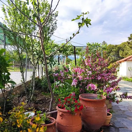 Apartment Ariadne House