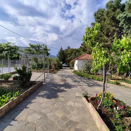 Ariadne House *