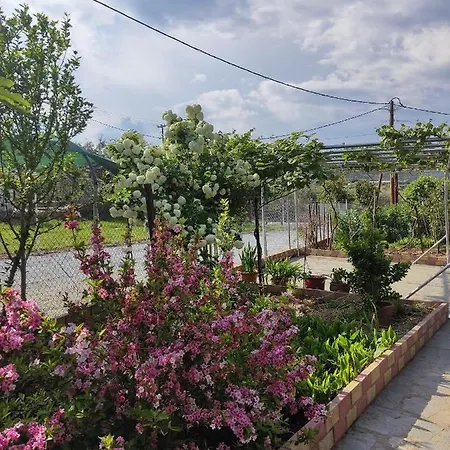 Apartment Ariadne House